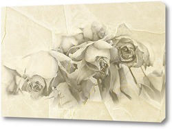   Картина Монохромные розы