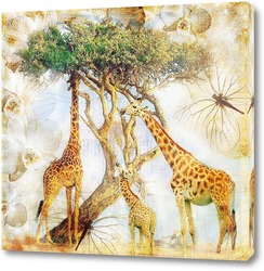    Жирафы на прогулке