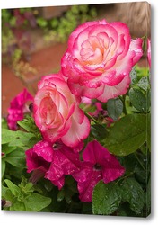   Картина Розовые розы с петуниями