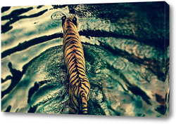   Картина Тигры 62022