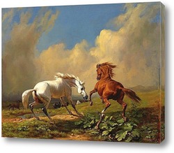    Лошадей перед приближающейся грозой