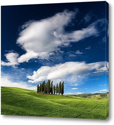   Картина Тосканские кипарисы