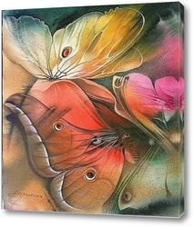   Картина бабочки