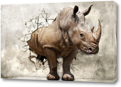  Носороги 23836