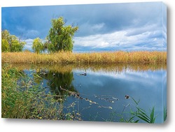  Склонившись к воде