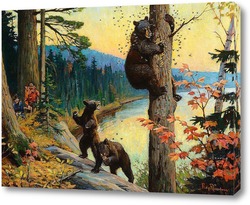  Медведица с медвежатами