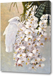   Картина Попугай и орхидеи
