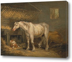   Картина Старая лошадь с собакой в стойле
