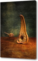   Картина Анатомия тыквы. Тыква и засушенная редька