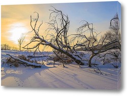  Поваленное дерево на снегу