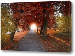   Картина Осенняя аллея