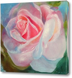   Картина Розовая роза