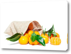   Картина Pile of mandarins with leaf isolated on white background