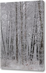   Картина зима в лесу