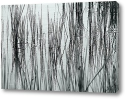   Картина Травы на  озере.