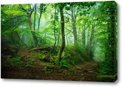   Картина Пейзажи 18559