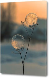   Картина Замёрзшие мыльные пузыри
