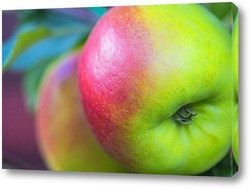   Картина Яблоки в саду