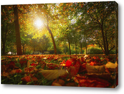   Картина Пылающая осень