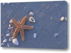   Картина Starfish004