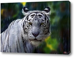   Картина Белый тигр