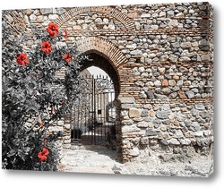    Красные цветы перед аркой в крепости Малаги