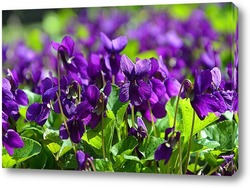   Картина Фиолетовая весна