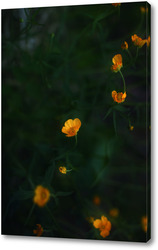   Картина Лютики цветочки