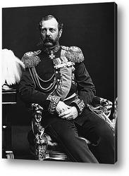   Картина Александр II