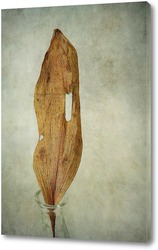   Картина лист ландыша