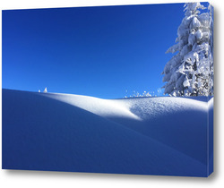   Картина Снежна природа 3 / Snowy nature 3