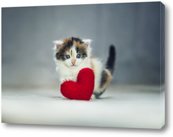   Картина Котенок 