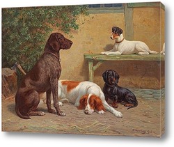  Картина Группа собак