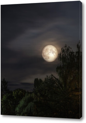   Картина Ночной пейзаж с полной луной