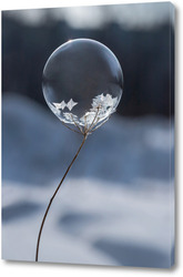   Картина Замёрзший  мыльный пузырь на растении