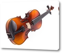    Скрипка на белом фоне