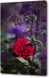   Картина Роза в осеннем саду
