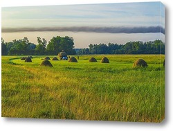  Утро в парке