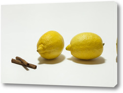   Картина Лимоны и гвоздика