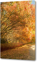   Картина Осенняя аллея в городско парке