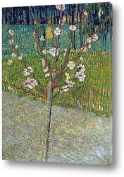   Картина Миндальное дерево в цвету