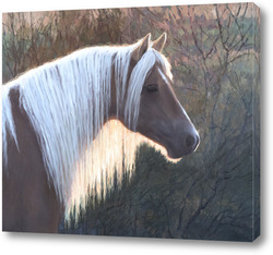   Картина Этюд головы лошади