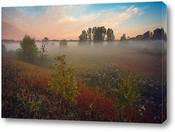   Картина Утренний туман