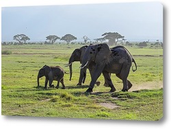  Картина семья слонов