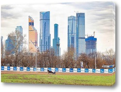    Вид на Москва-Сити со стороны Московского Ипподрома