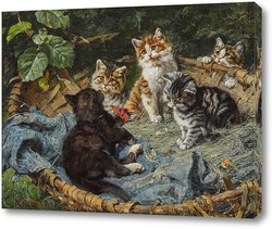  Кошка со своими четырьмя мальчиками