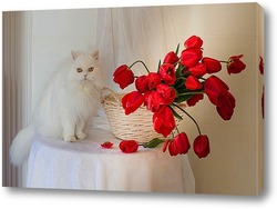   Картина Красные тюльпаны и белый кот
