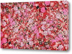   Картина Стена из красных и розовых роз