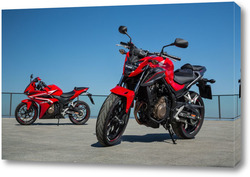   Картина Мото 43868