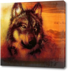    Волк на фоне заката